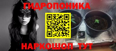 гидра Шелехов
